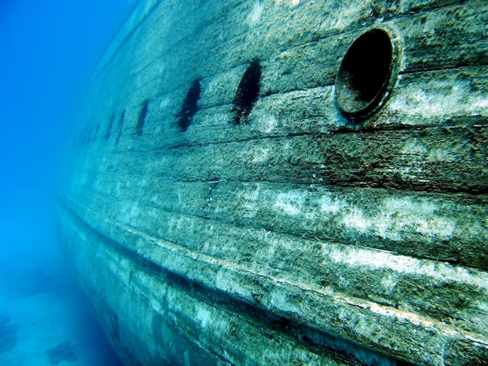 Ship to wreck. В трюме затонувшего корабля. Селедка под водой. Shipwreck Wooden.