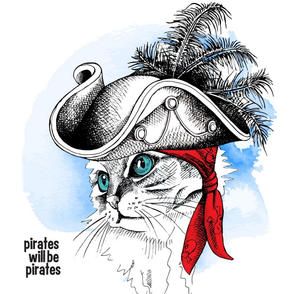 Котик в пиратской шляпе
